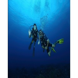 Dykking med Divemaster (Urban)