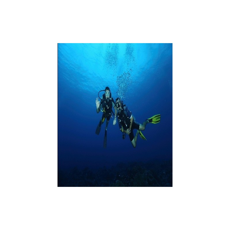 Dykking med Divemaster (Urban) Dykking med Divemaster (Urban)