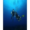 Dykking med Divemaster (Urban)