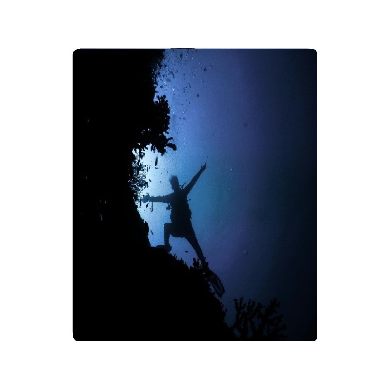 Dving safari Bergen coast / nearby (Silver)