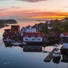 Dykkesafari Nautnes fiskevær